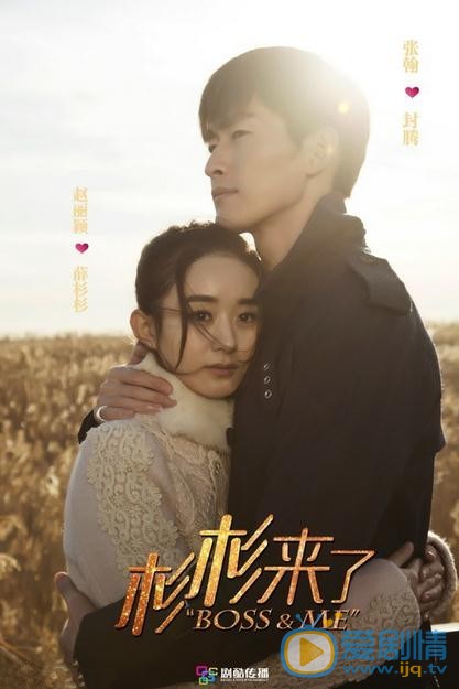 电视剧杉杉来了演员剧照