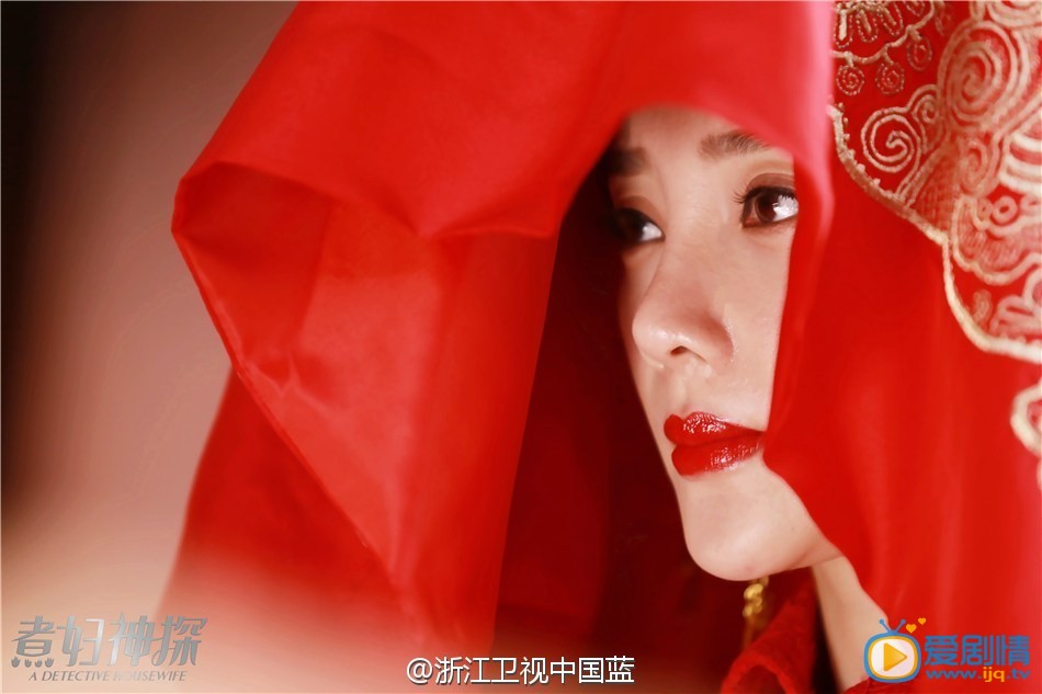电视剧煮妇神探剧照