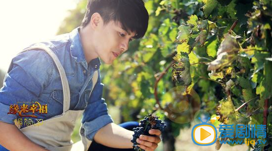 缘来幸福什么时候播 缘来幸福播出时间