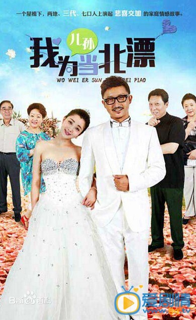 电视剧我为儿孙当北漂海报
