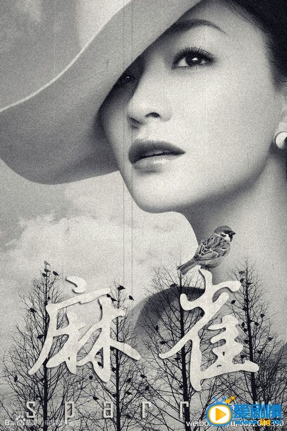 电视剧麻雀海报
