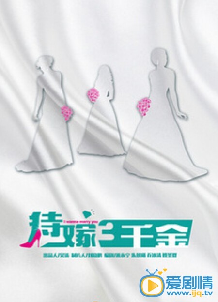 电视剧追婚记剧照