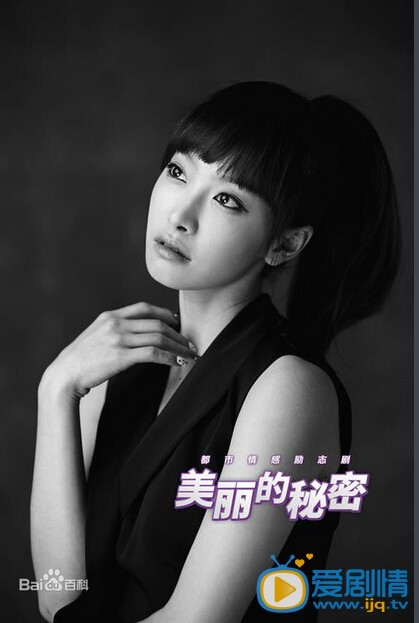 电视剧美丽的秘密海报