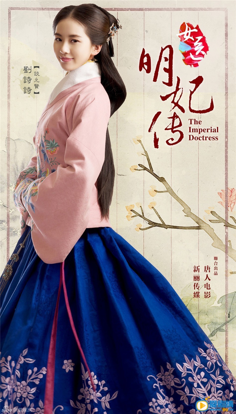 电视剧女医明妃传海报