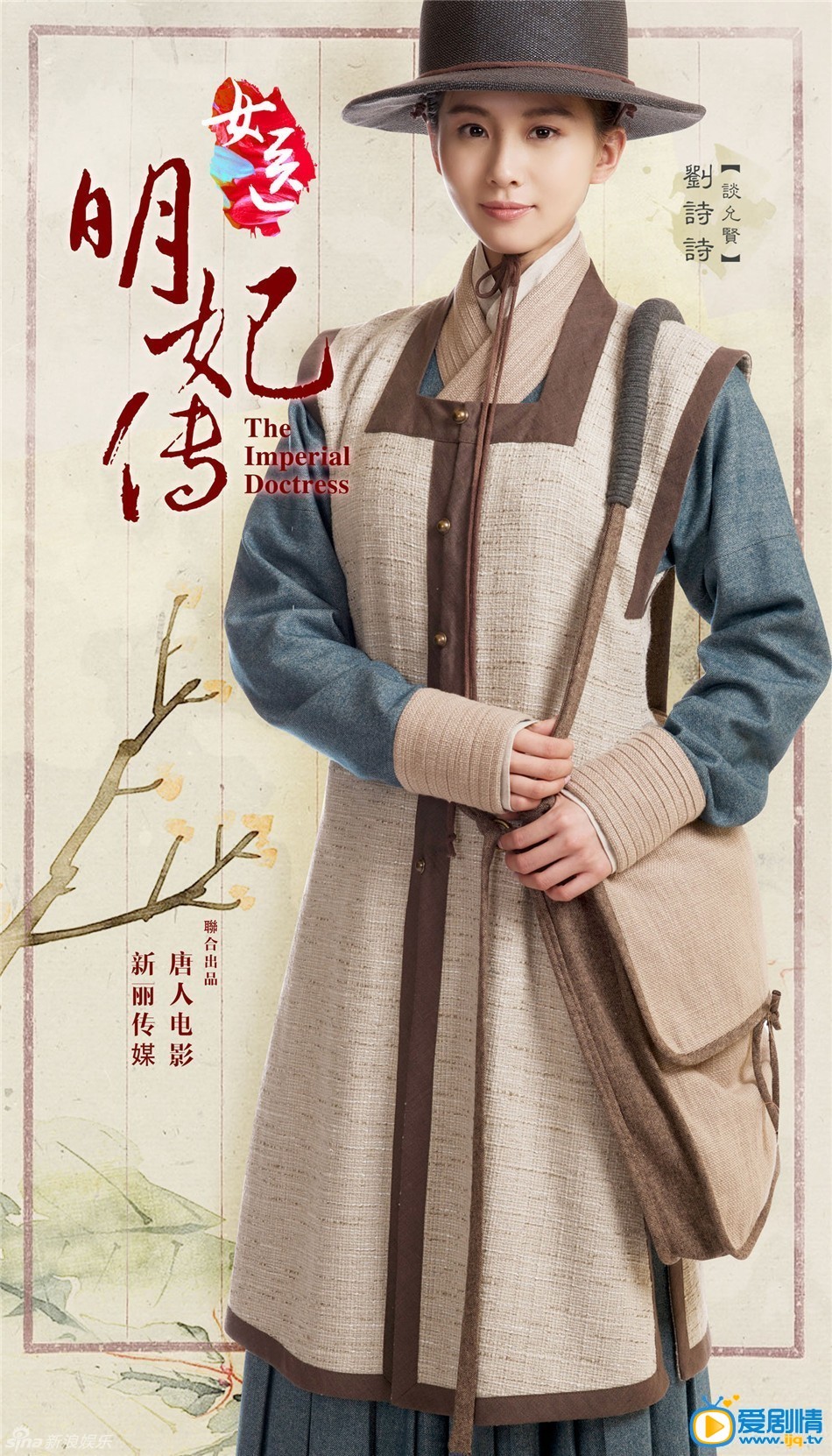 电视剧女医明妃传海报