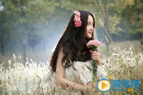 电视剧我爸是单身剧照