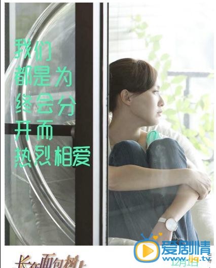 电视剧长在面包树上的女人海报