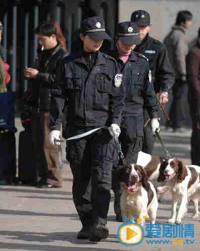 电视剧警花与警犬剧照