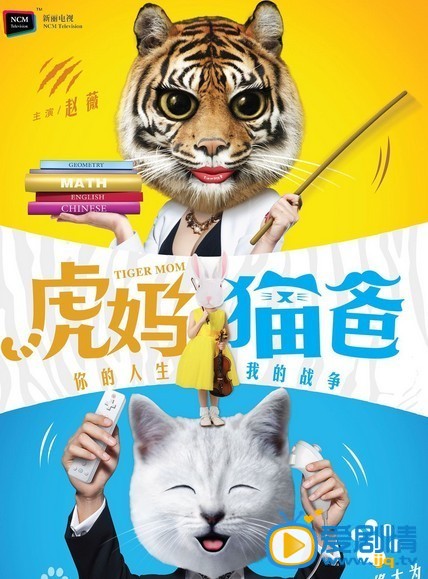 电视剧虎妈猫爸海报