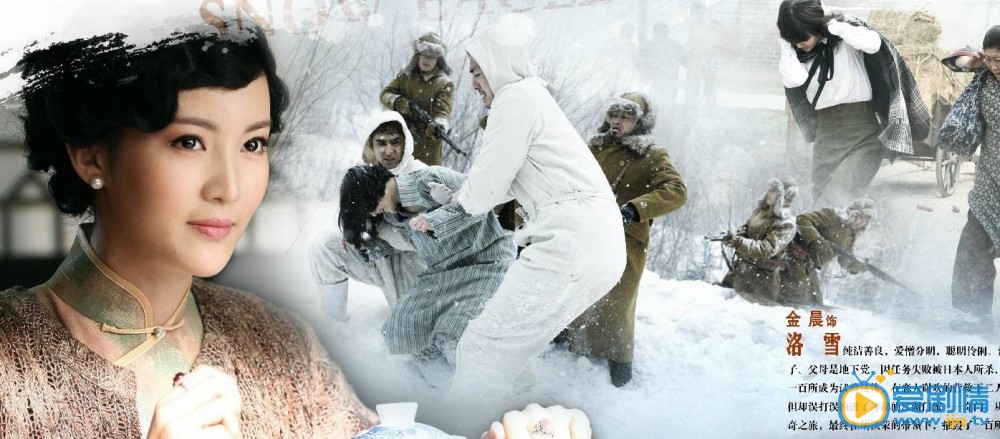 电视剧雪鹰海报