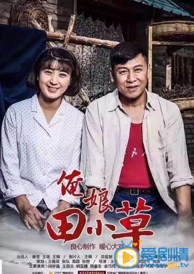 电视剧俺娘田小草海报