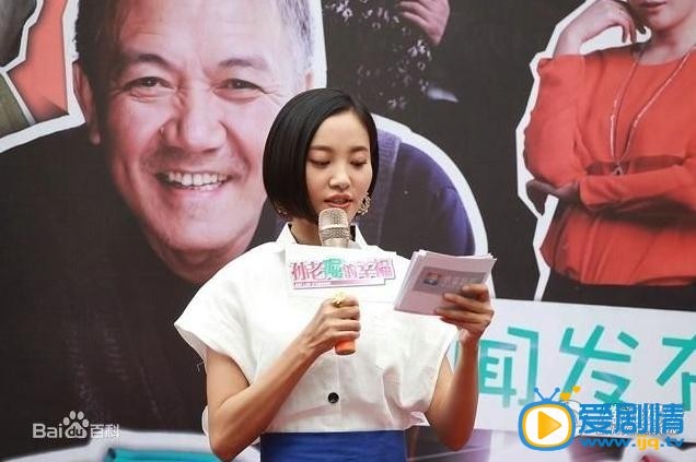 电视剧孙老倔的幸福海报