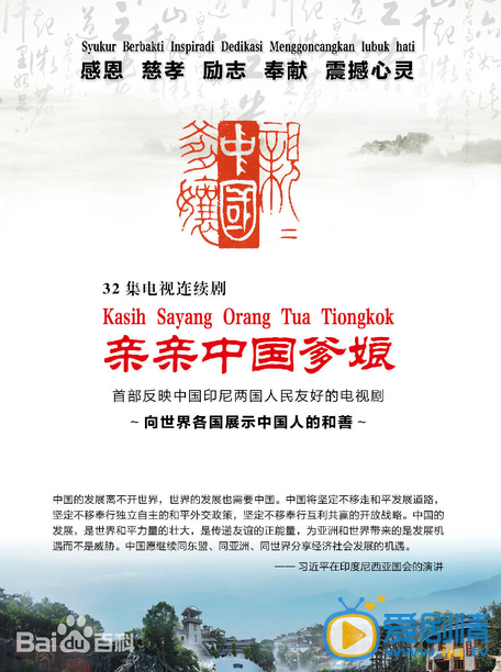 电视剧亲亲中国爹娘海报