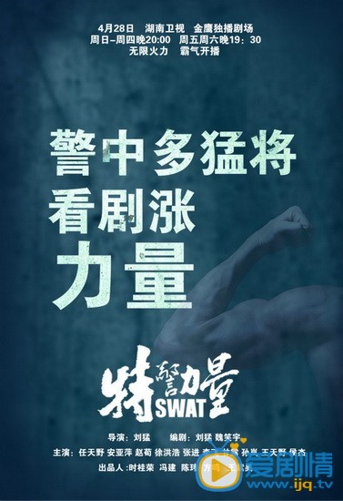 电视剧特警力量海报