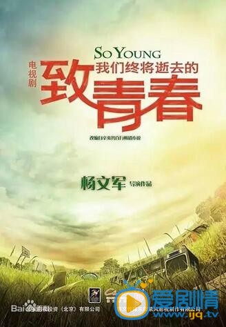 电视剧致我们终将逝去的青春海报