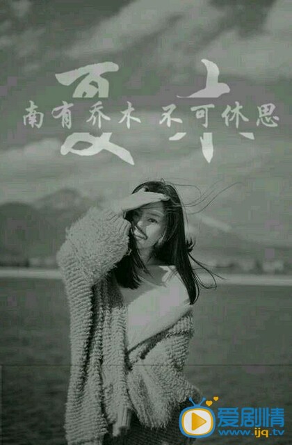 夏有乔木什么时候上映 夏有乔木上映时间