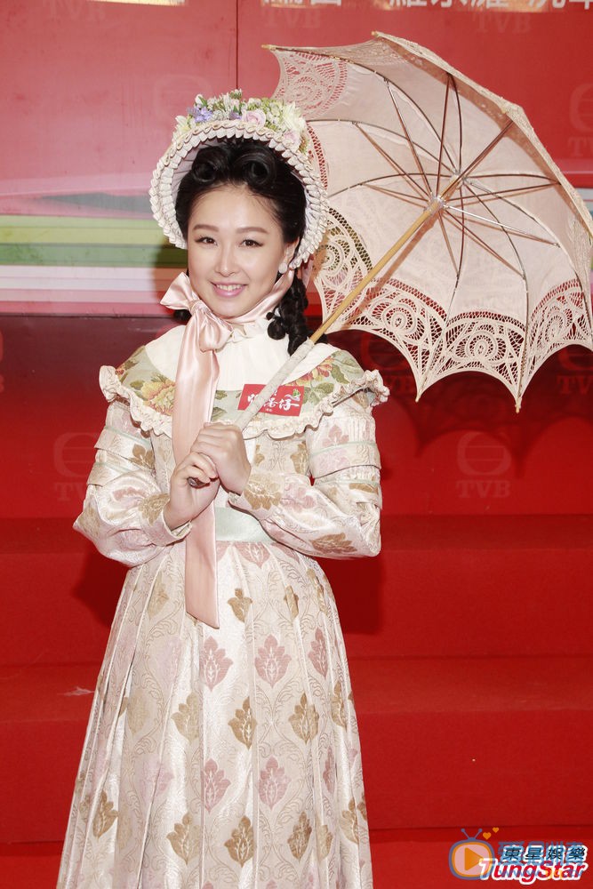 电视剧张保仔海报