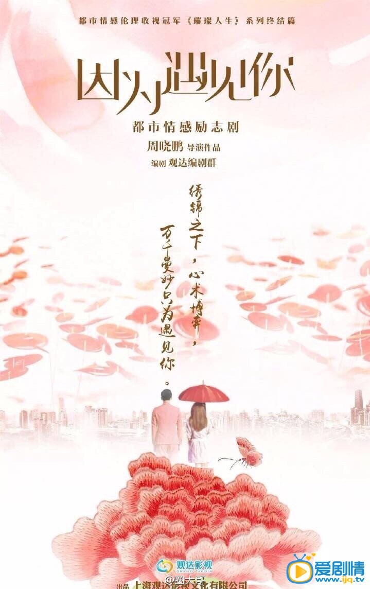 电视剧因为遇见你海报