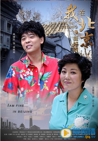 电视剧我在北京挺好的海报