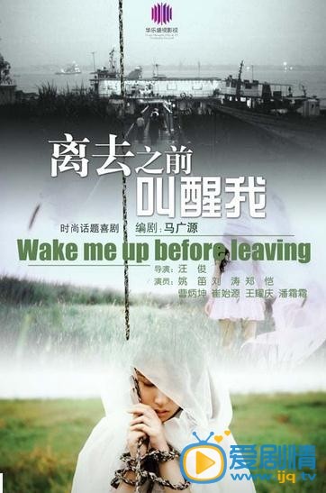 电视剧离去之前叫醒我海报