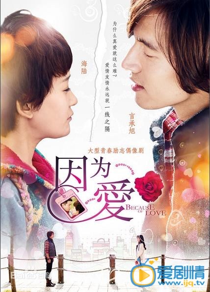 电视剧因为爱海报