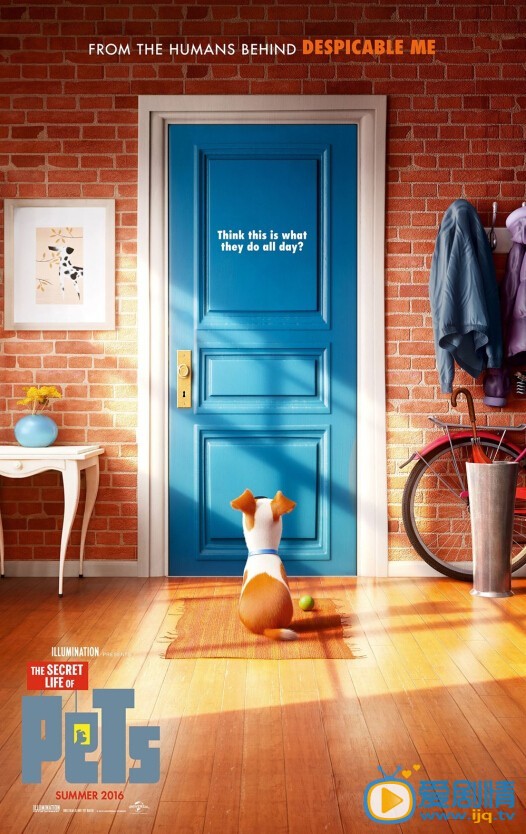 宠物的秘密生活什么时候上映 宠物的秘密生活上映时间