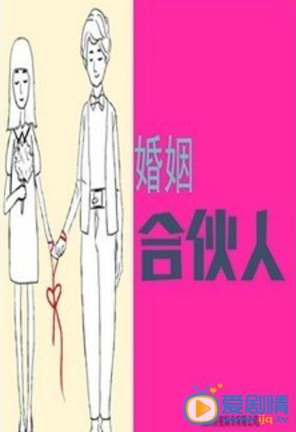 电视剧婚姻合伙人海报