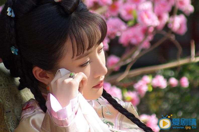 电视剧天下盐商剧照