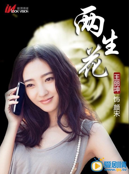 电视剧两生花海报