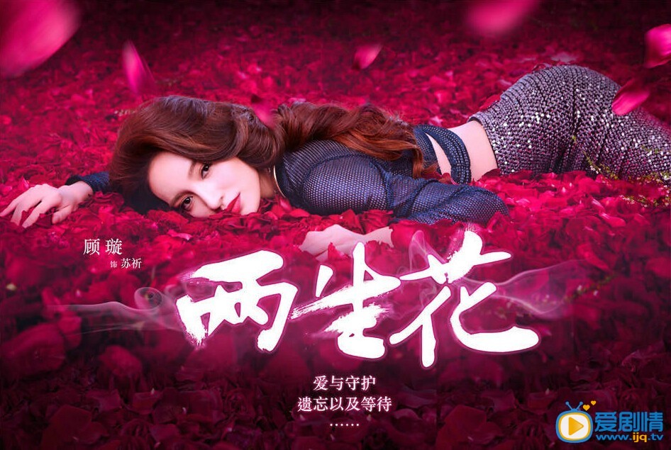 电视剧两生花海报