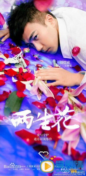 电视剧两生花海报