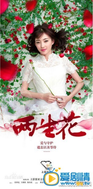 电视剧两生花海报