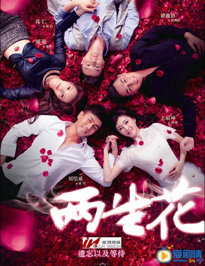 电视剧两生花海报