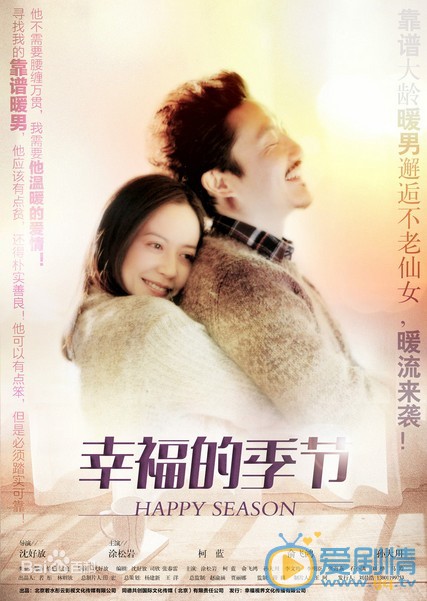 电视剧幸福的季节海报