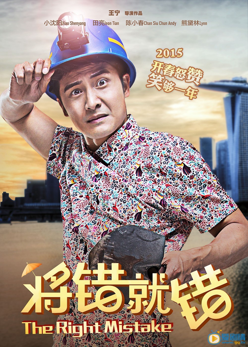 电影将错就错海报