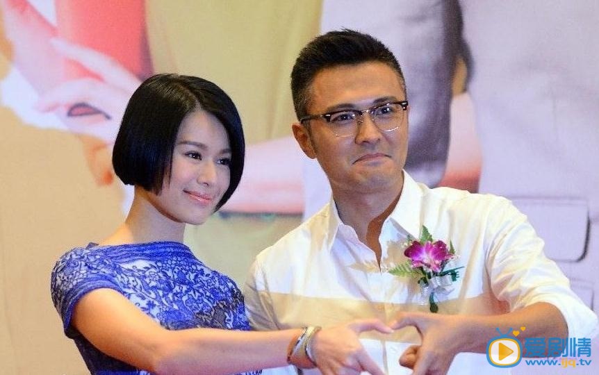 电视剧如果不曾爱过你海报