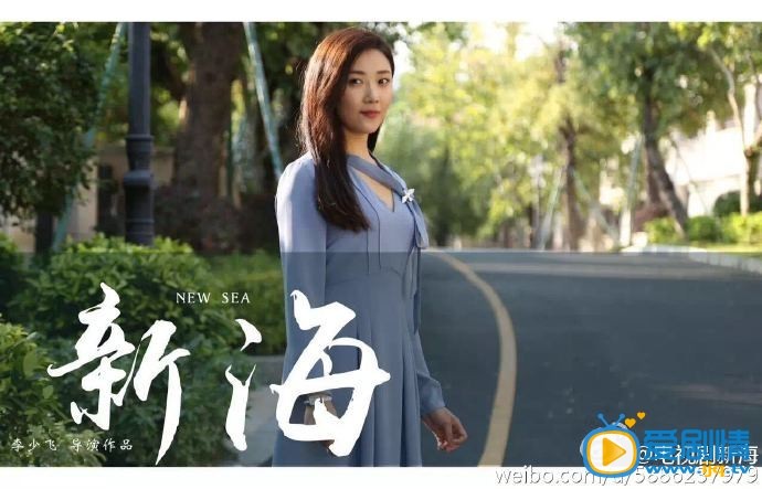 电视剧新海剧照