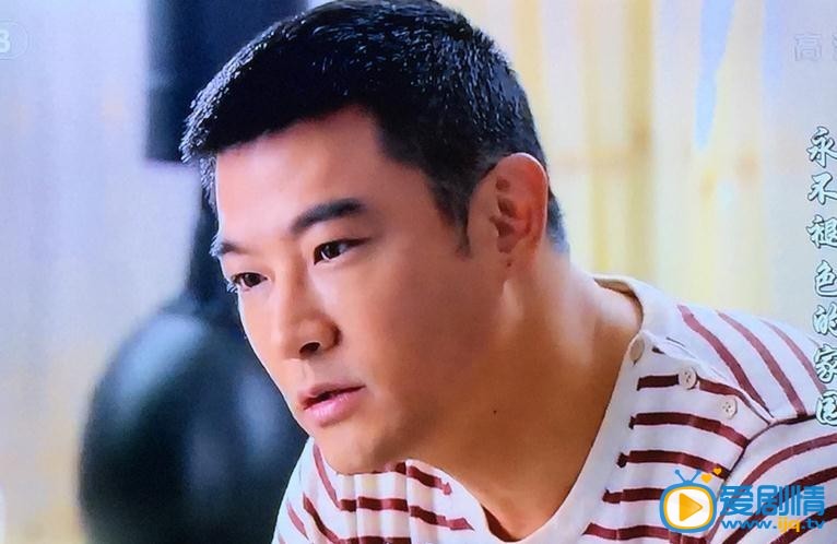 电视剧永不褪色的家园剧照