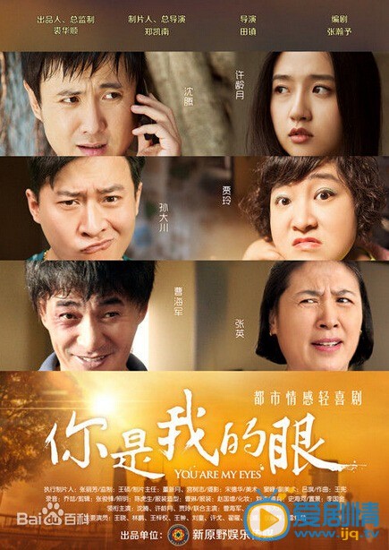 电视剧你是我的眼剧照