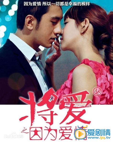 电视剧将爱之因为爱情海报