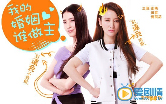 电视剧我的婚姻谁做主海报