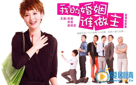 电视剧我的婚姻谁做主海报