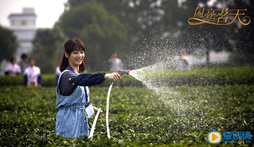 电视剧闪亮茗天剧照