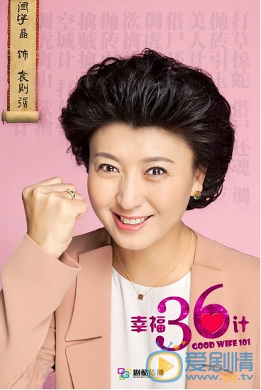 电视剧幸福36计海报