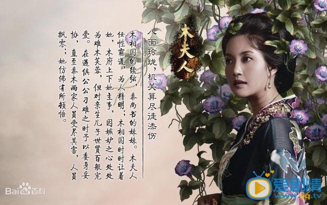 电视剧芙蓉诀海报