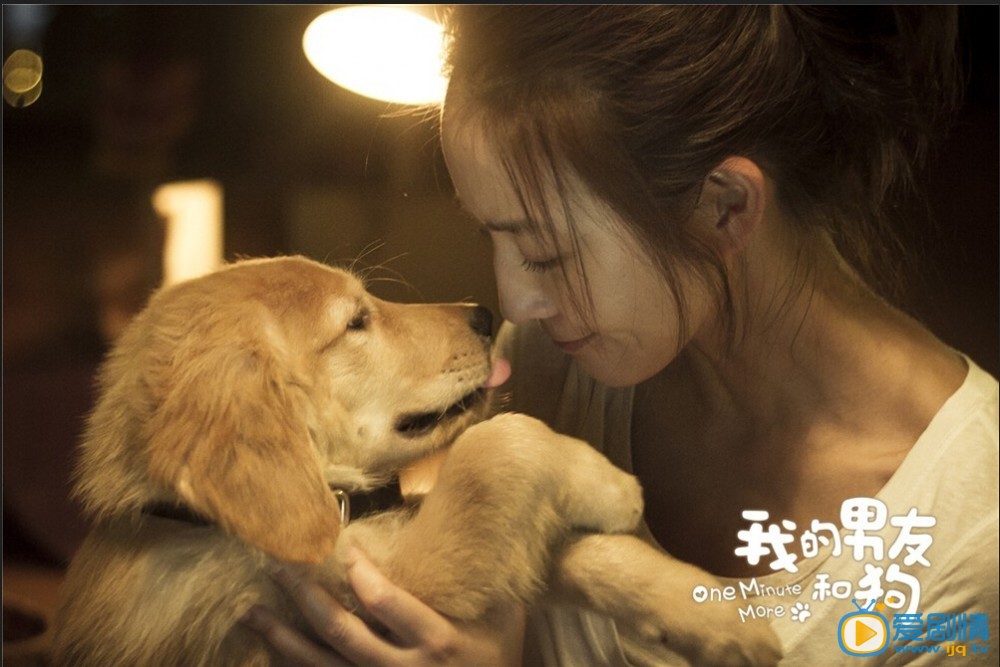 电影我的男友和狗剧照