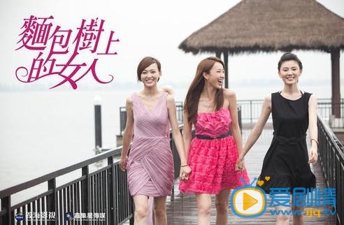 电视剧长在面包树上的女人剧照