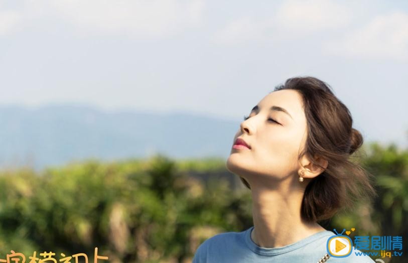 电视剧柠檬初上剧照