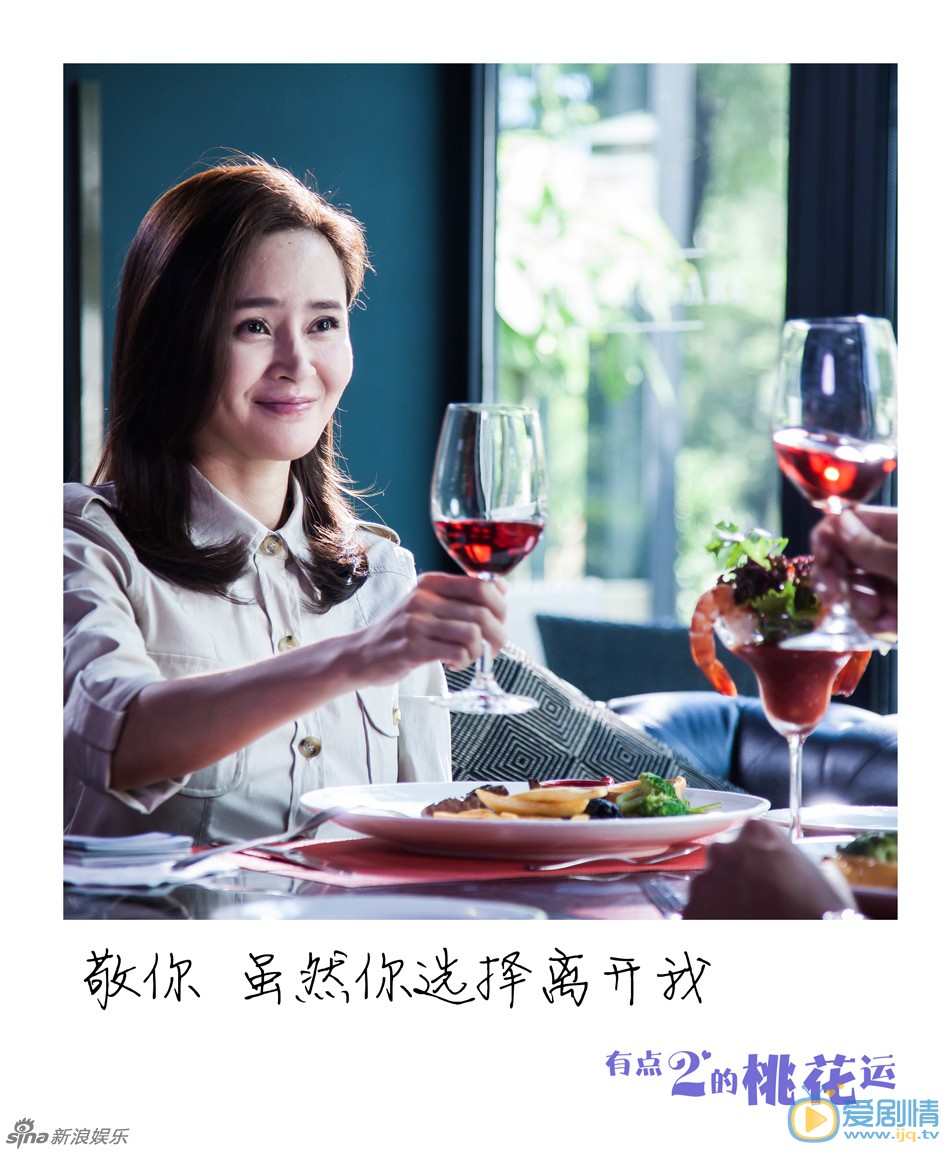 电视剧有点二的桃花运海报