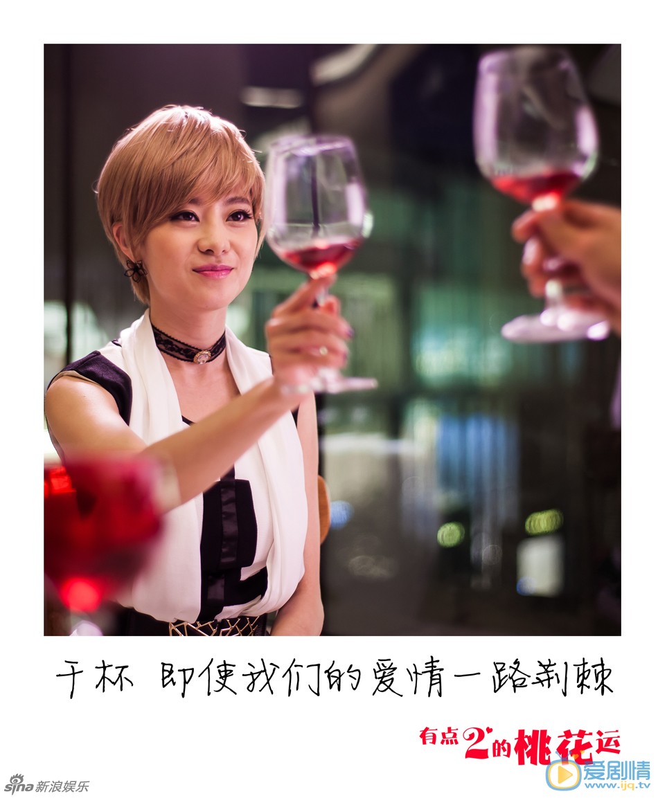 电视剧有点二的桃花运海报